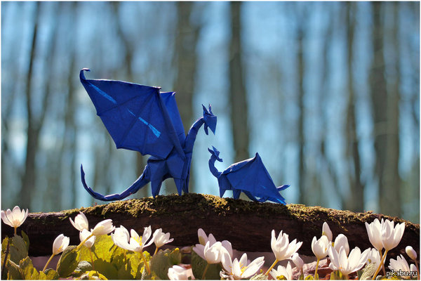 ���� � ����