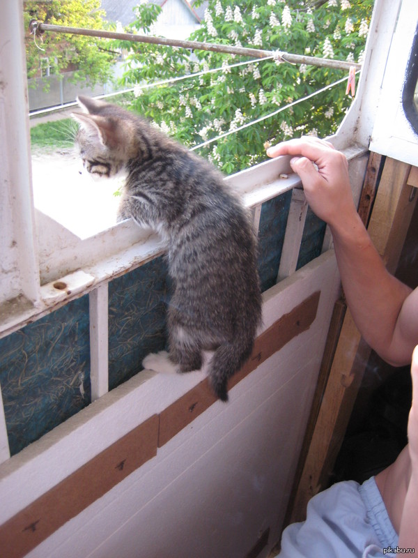 ����������������� � ����������:)