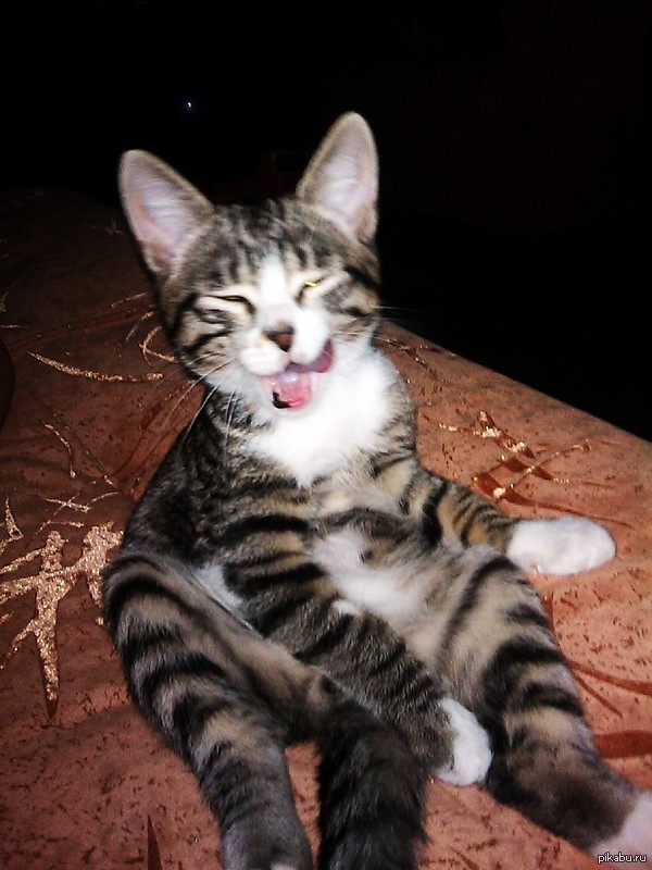 ������ ����!!!