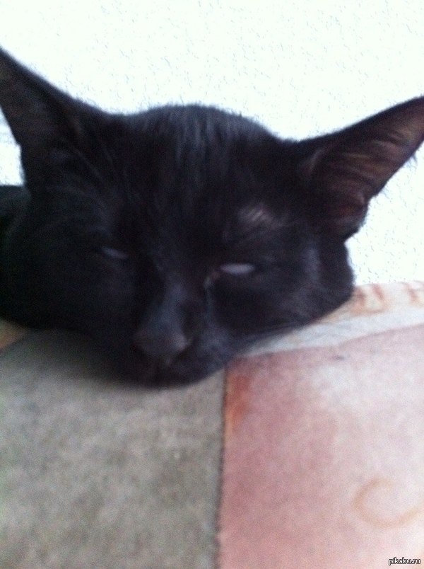 ������ ��������