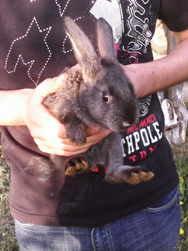 ��� ����� ���� � ���� ���� �����)))