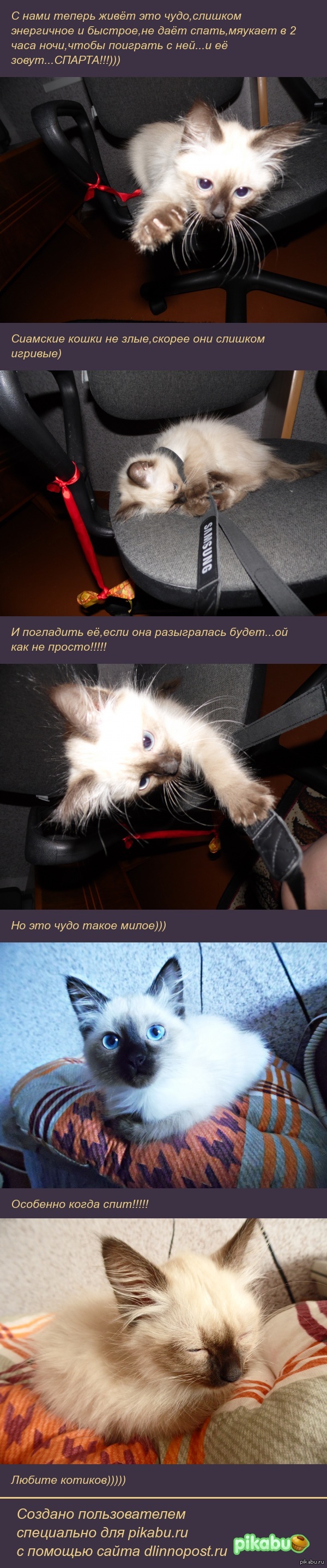 Это......СПАРТА!!!