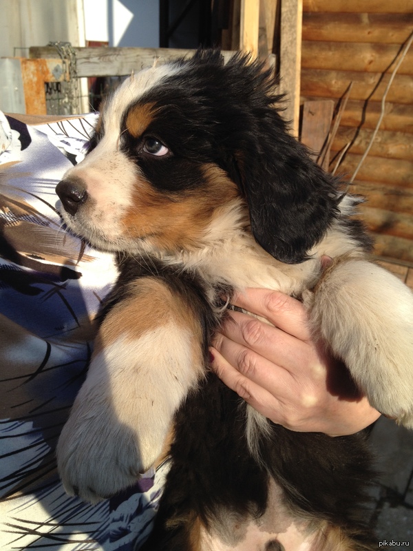 ������...