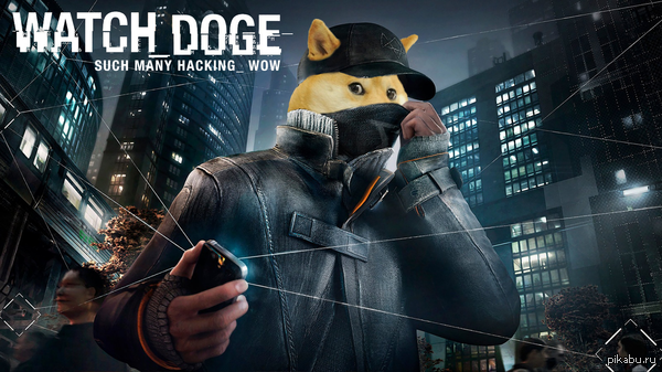 Watch Doge