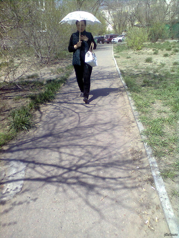    :D   +17,  -   )      ,     :D   !)