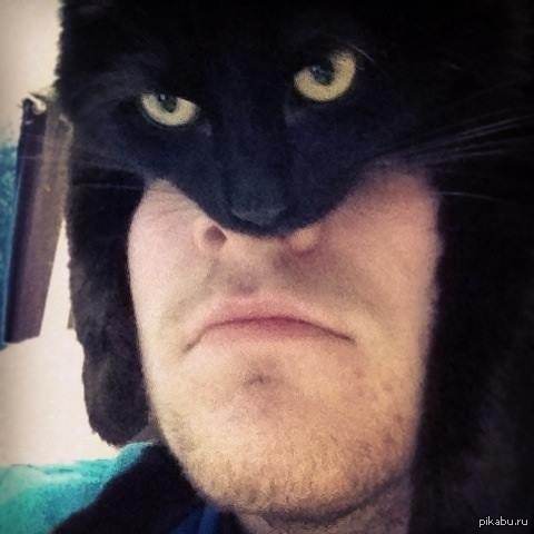 Catman   ,  