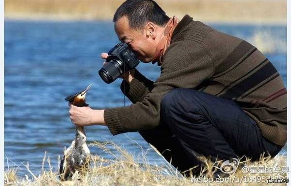     National Geographic