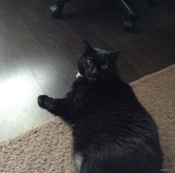 ��� 14-�� ������ ��� ���-�� �� �������.