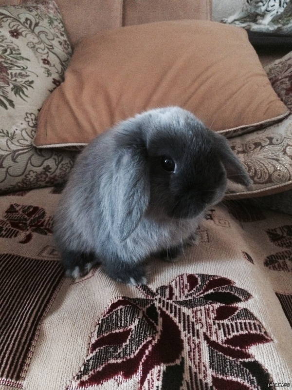 �� ��� �� ��� ��� �������? � ����, ��������, ��� ����� ��� ���� ����� :3 � ����� �� ���� ������ ������ :3