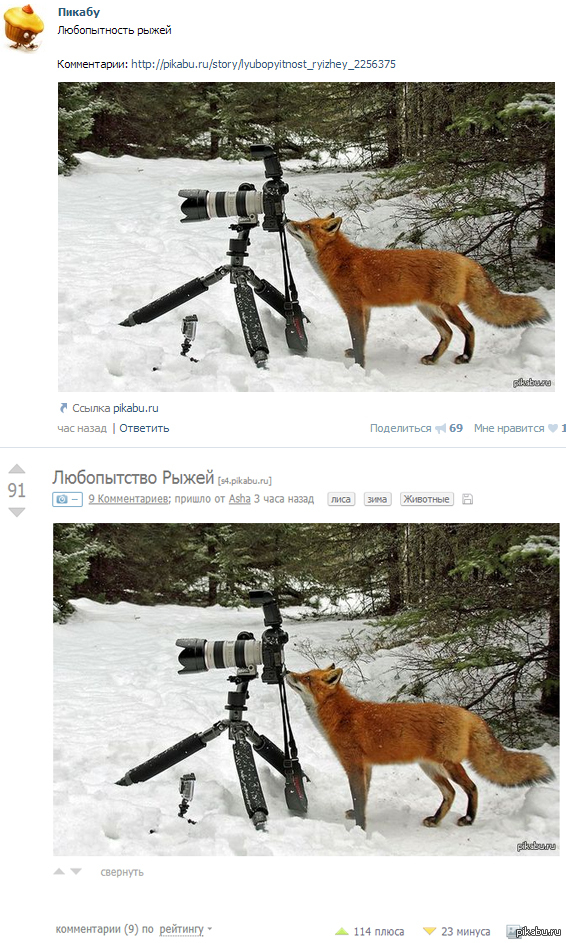 Неловкий момент...