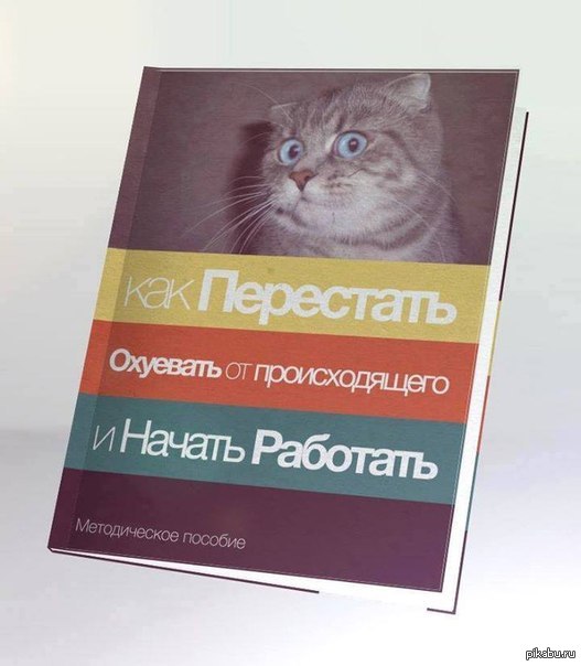 Как начать работать - Картинки, Кот, Действительно, Книги