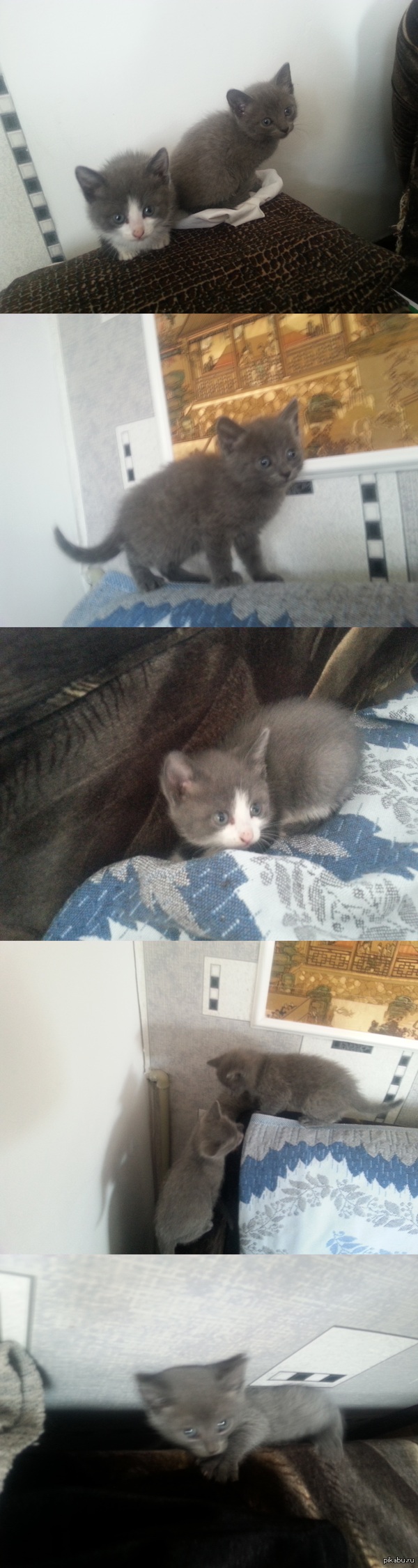 ����� � ������� ����.