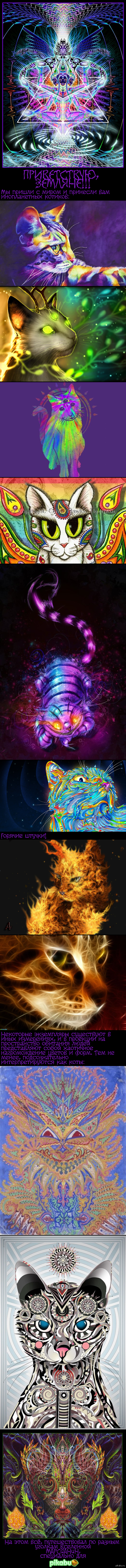   ! 