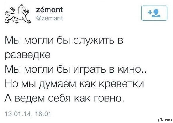 Мы могли бы служить в разведке. Мы могли бы служить в разведке текст. Мы могли бы служить в разведке песня. Но мы думаем как креветки.