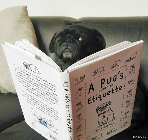 ,     &quot;  &quot;