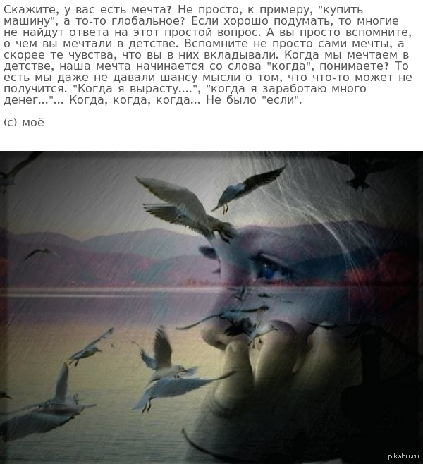 Мечты, мечты...