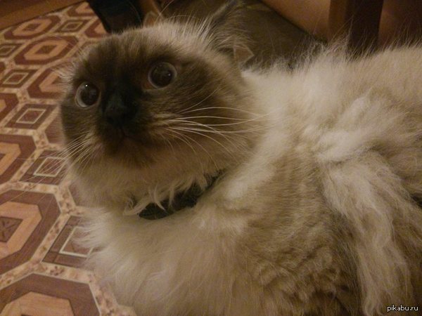 ��� ��� ��� ���?