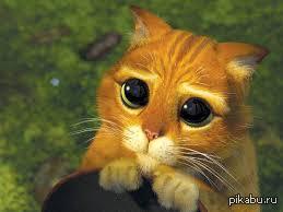 ��� �� �� ��������, ��, ������, ��� ����� ���� ������.