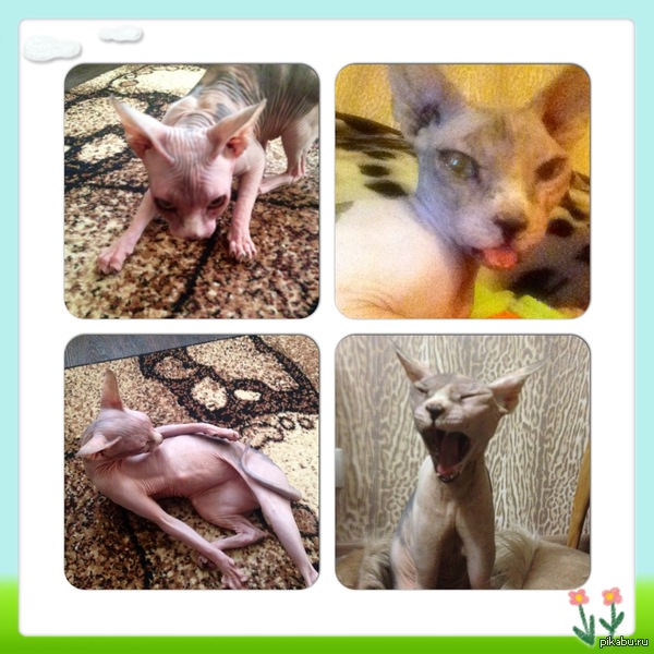 ��� ��������...)))