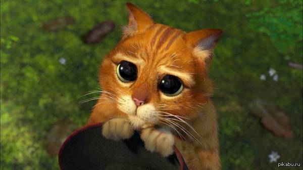 ��������� � ������������� ����...