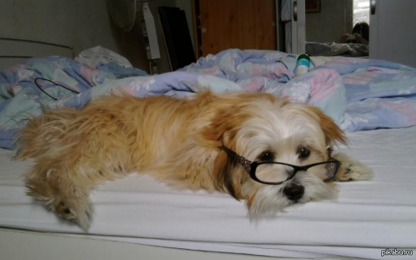 ������� ����� ������� �� ������