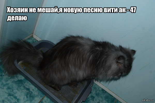 ��� ��� ��� ��� !