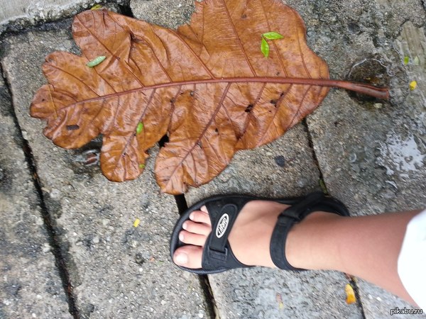 � ���� ��������� ����.