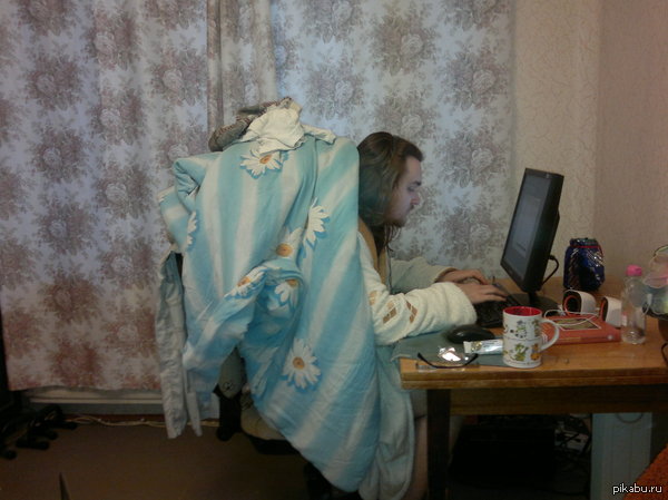 Мой черепаховый сисадмин | Пикабу