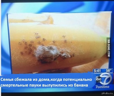 И такое бывает