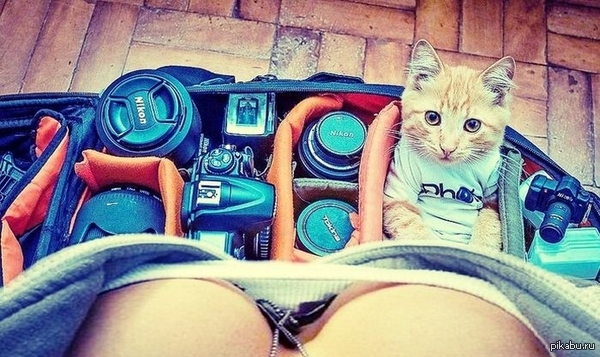 I carry everything with me! - Breast, Camera, cat