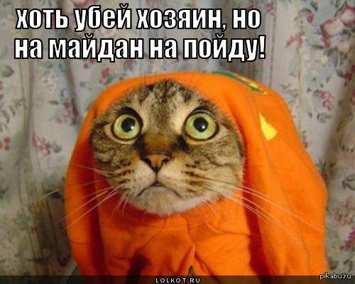 все о том же