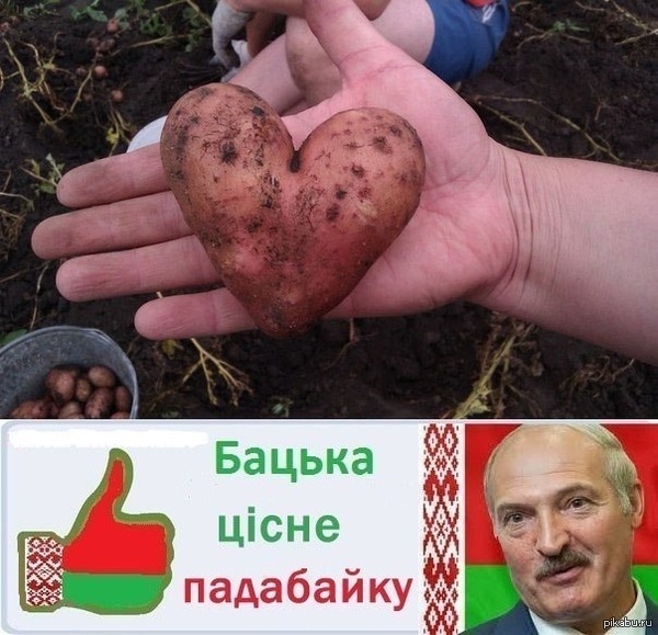   ,    , 