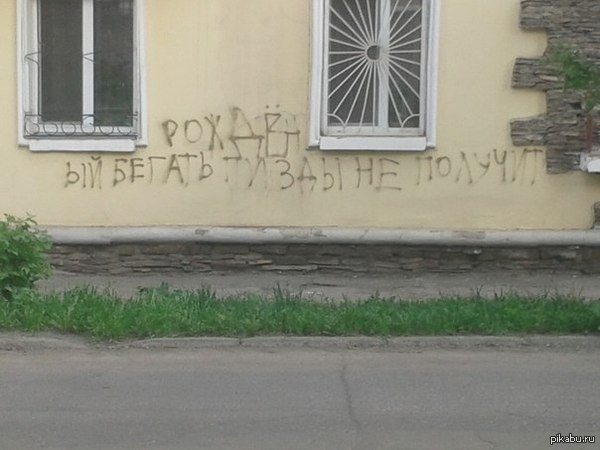 Стена дело говорит