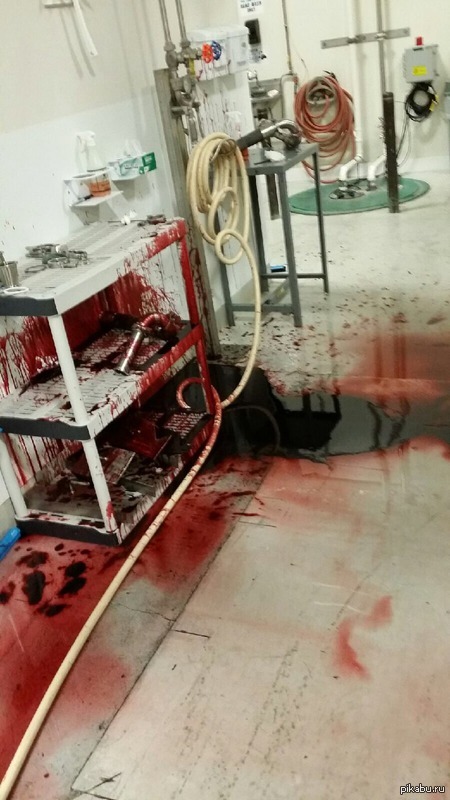 Мой брат работает в кондитерской лаборатории