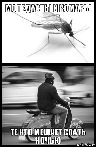 ������ �������!