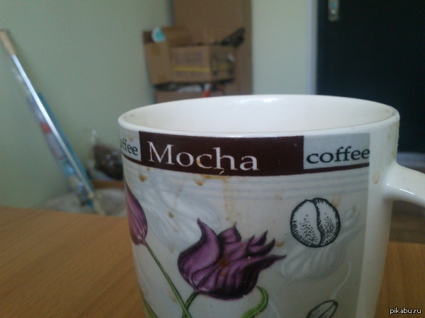 �������� ����