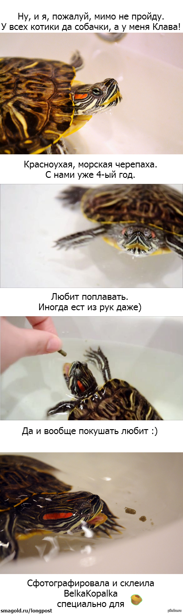 А вот и мое чудо.