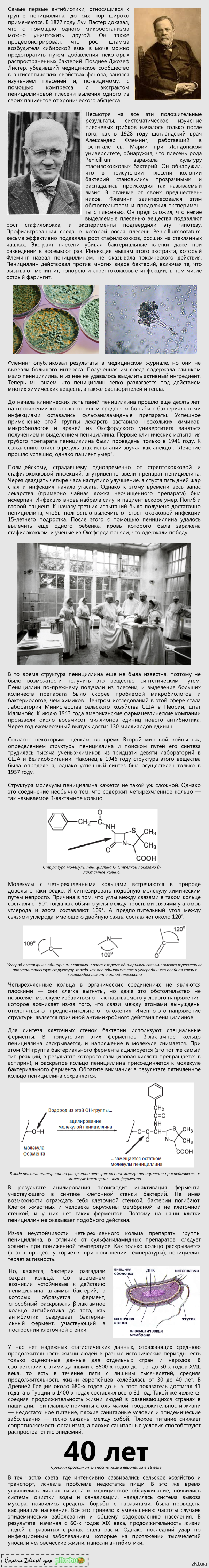 Как работают антибиотики [осторожно, длиннопост] | Пикабу