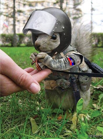 ��������� "����������"