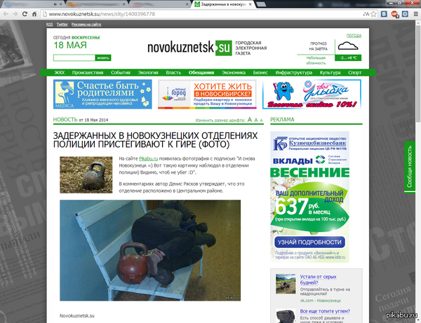 Пикабу обретает популярность