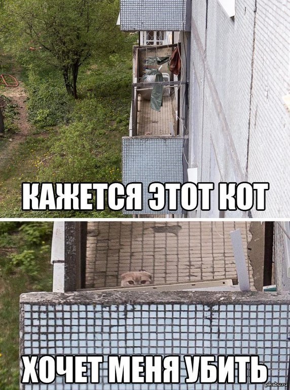 ��� �������