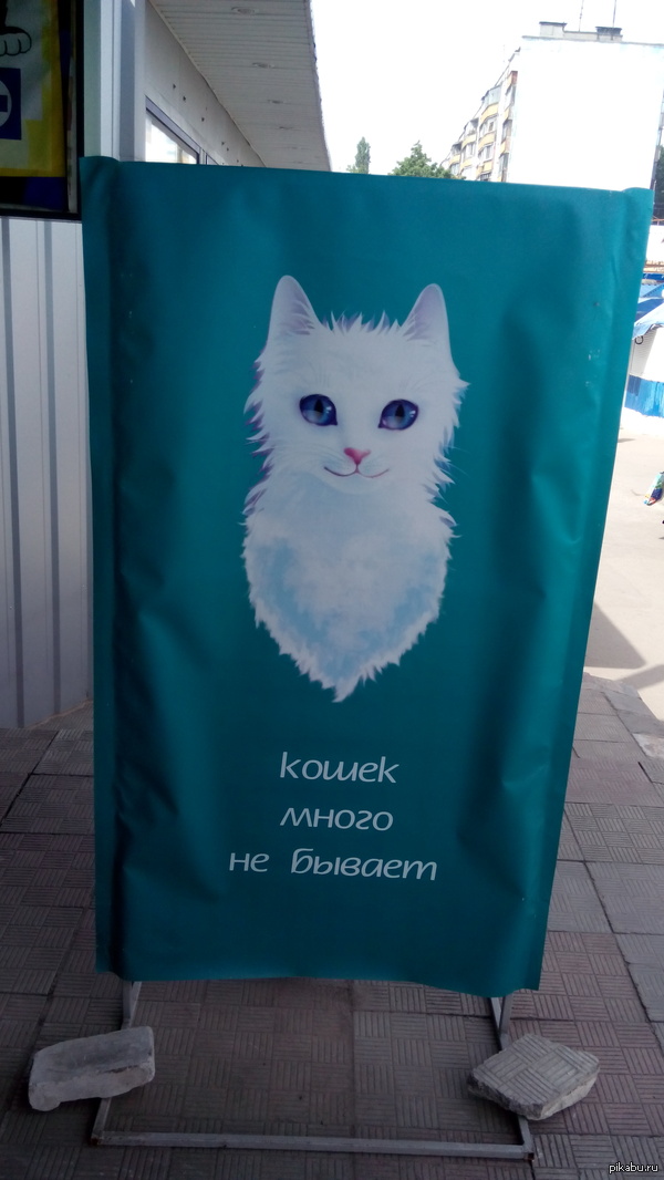 Вот такое объявление встретил сегодня на улицах Харькова