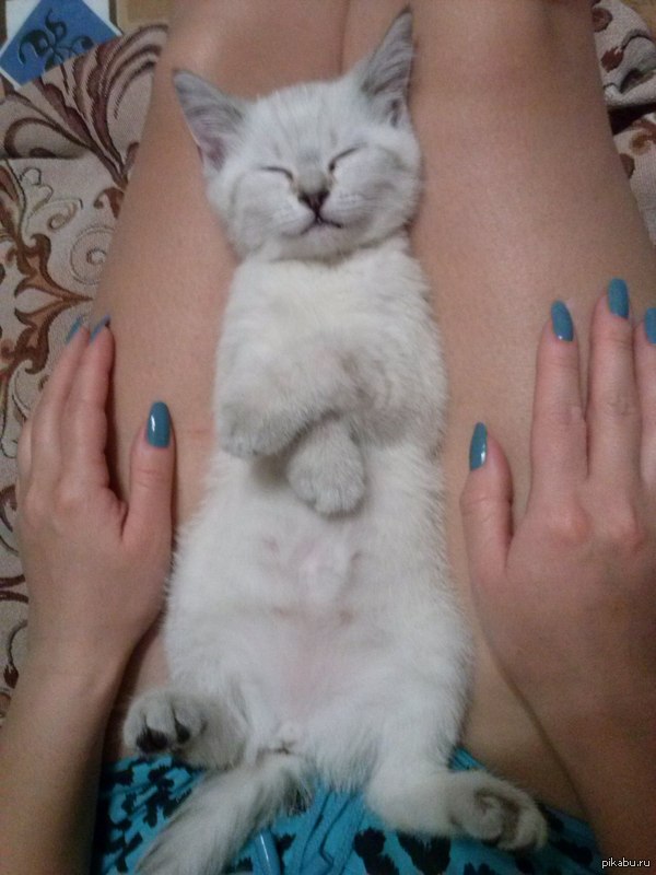 �������)))