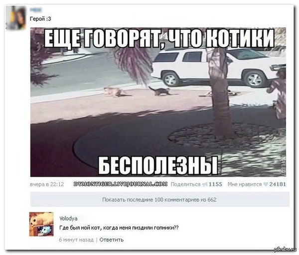 Соцсети собственно...