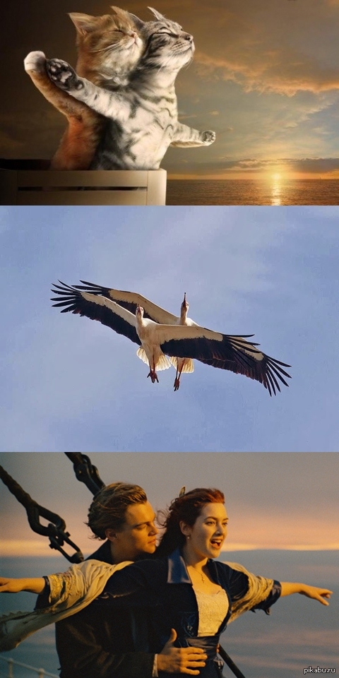 не мое,но улыбнуло)))