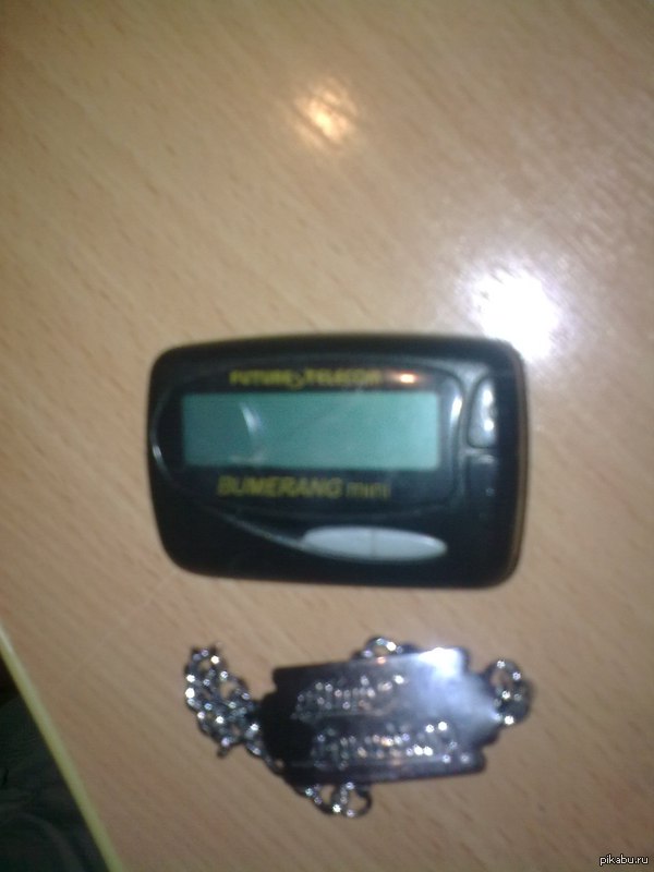 Does anyone still have these alive? :) - My, Pager0s