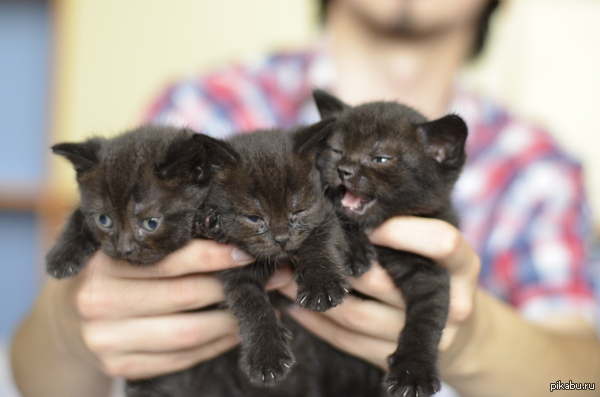 �� ��� ����� ��� ����� �����