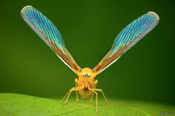 ���������� ������