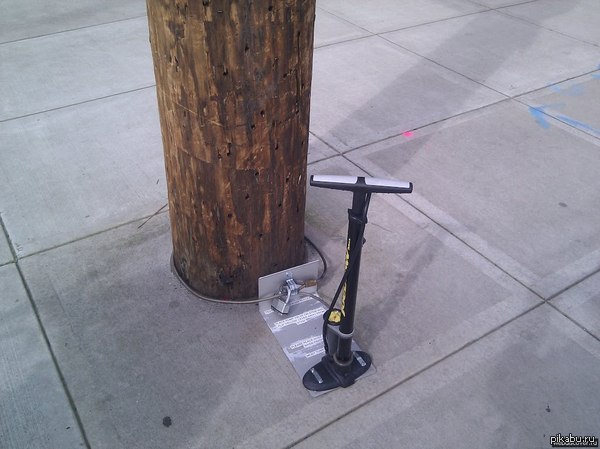 &quot;    ,    &quot;