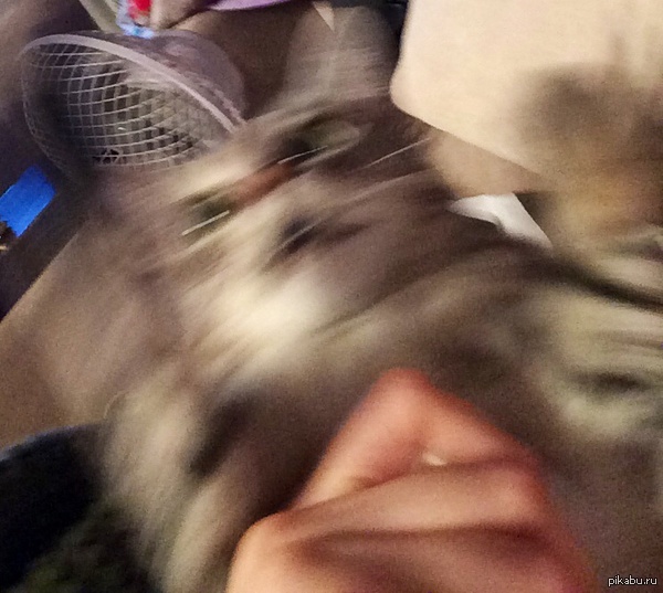 ?   , !